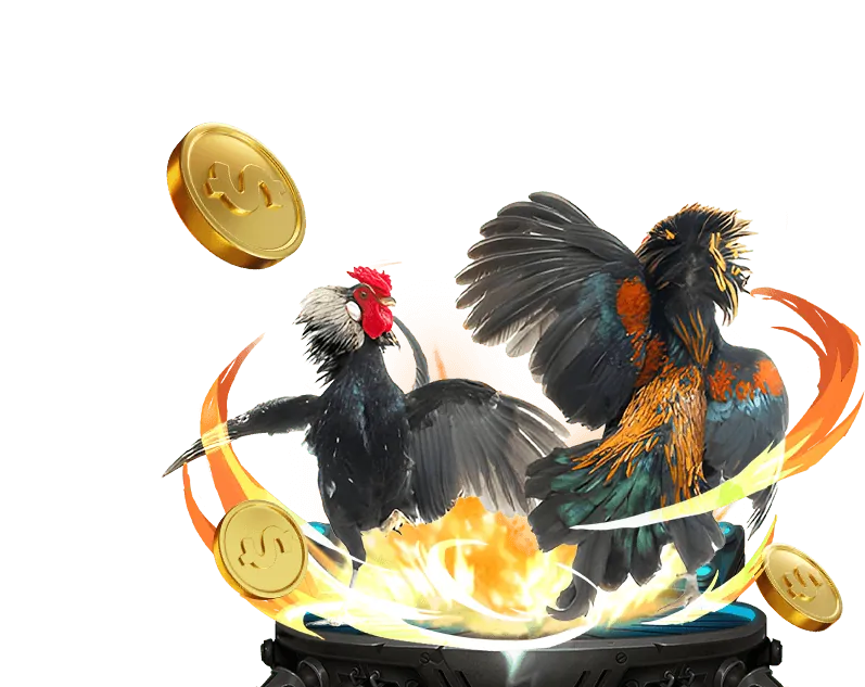 Các loại kèo đá gà 99vina